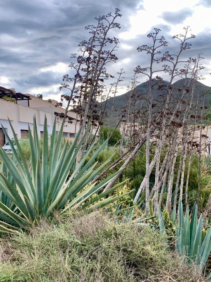 Ferienwohnung La Pita Del Pozo El Pozo de los Frailes Exterior foto